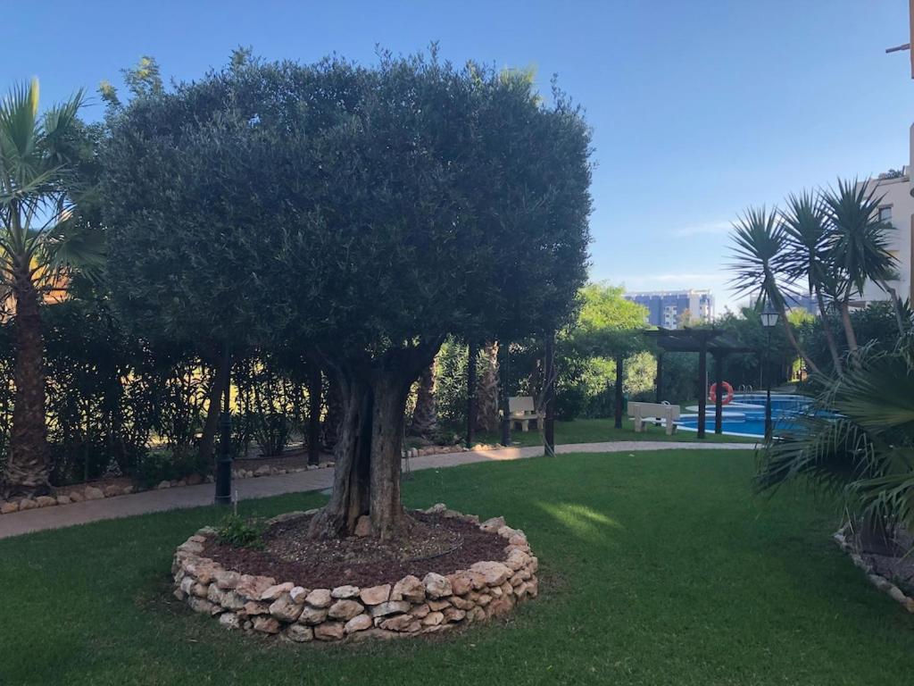 Panorama Park, Punta Prima, 5 Star Luxury 2 Bedroom Apartment Like No Other Alicante Extérieur photo